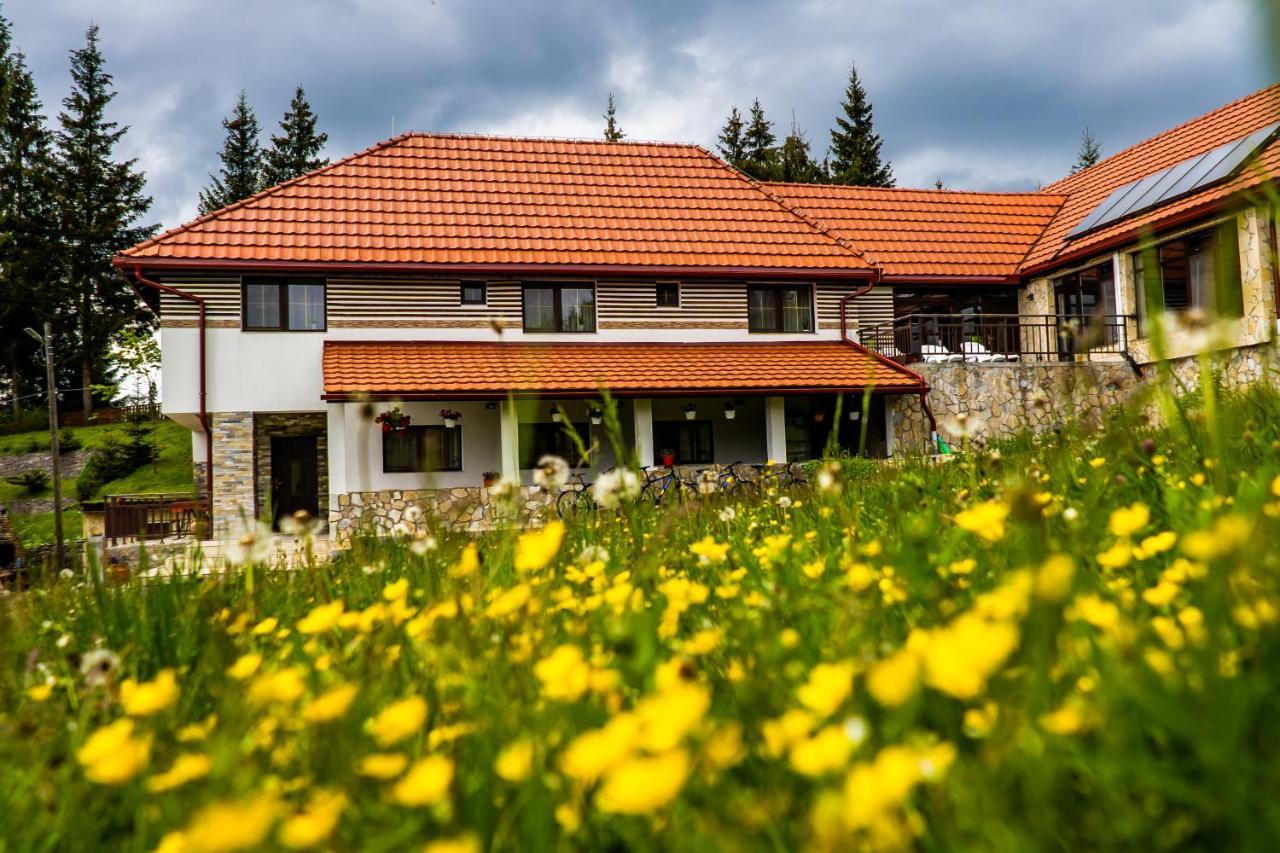 Pensiunea Romconcord Balcesti Exterior photo